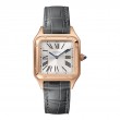 Cartier Santos Dumont Watch WGSA0022