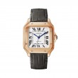 Cartier Santos de Cartier Watch WGSA0028